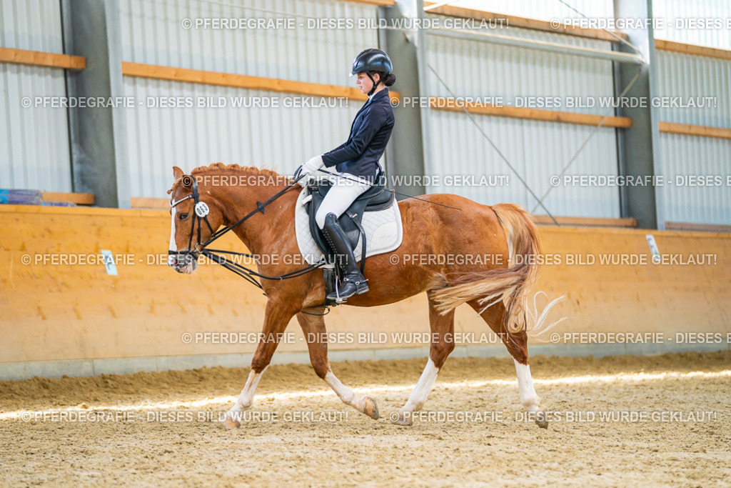 DSC08654 | Pferdegrafie