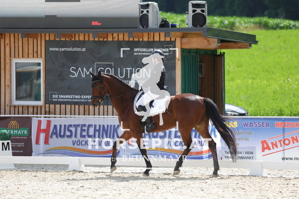 0P6A6157 | Willkommen bei Brunnmayr - Design & Fotografie – Ihrem Spezialisten für Reitturniere und Pferdeveranstaltungen in Oberösterreich, Salzburg und Bayern! Seit über 17 Jahren sind wir leidenschaftlich dabei.