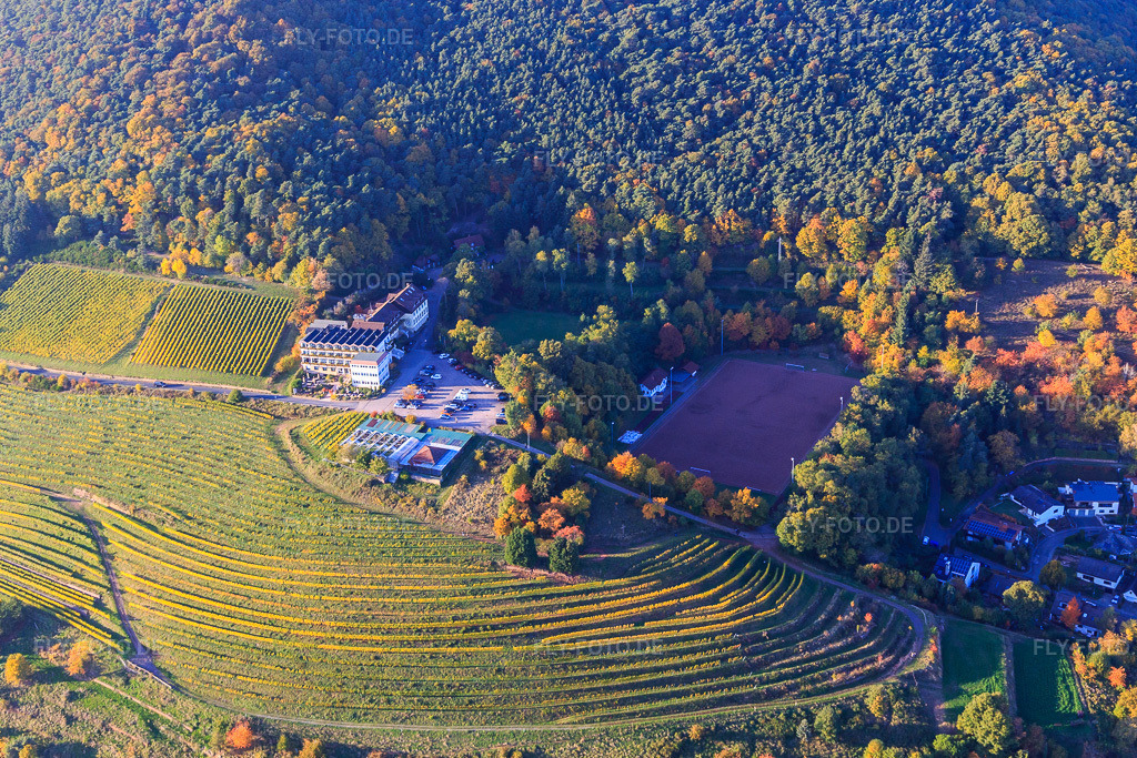 Luftbild: Arens Hotel 327m NN zwischen Wald, Sportplatz Sankt Martin und herblisch gefärbten Weinreben im Ortsteil SaintMartin in Sankt Martin im Bundesland Rheinland-Pfalz in Deutschland. Foto: IMG_095633.jpg vom 30.10.2016 durch Werner Riehm/FLY-FOTO.deArens 327