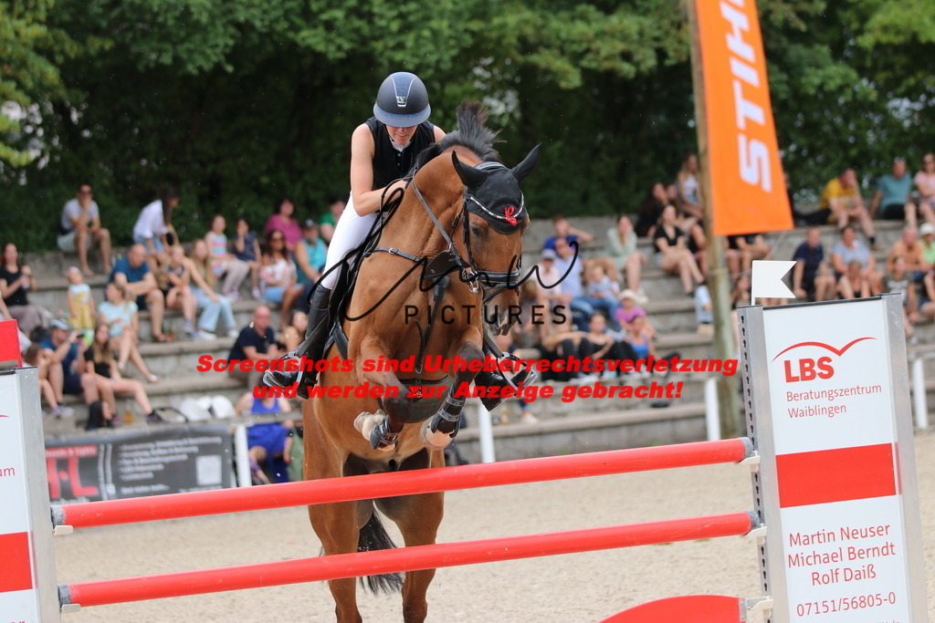 IMG_2558 | lmwpictures - Realisiert mit Pictrs.com