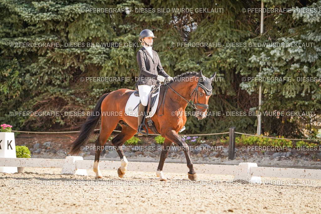 DSC00435 | Pferdegrafie