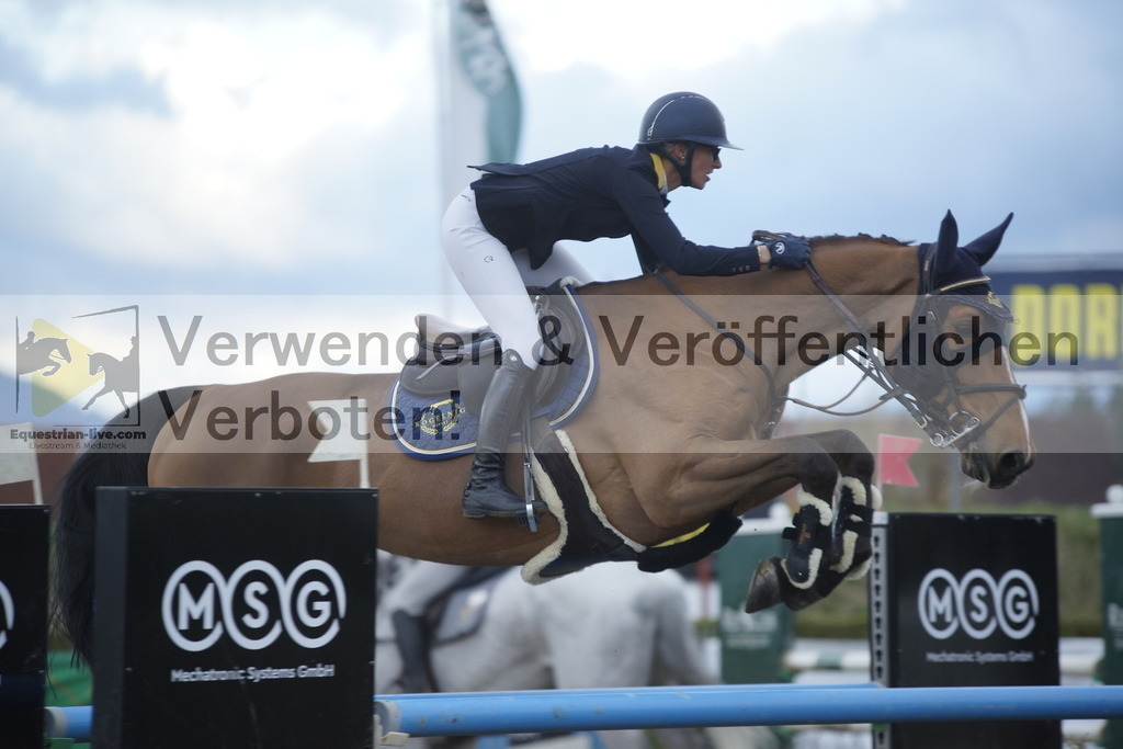 _DSC8292 | equestrian-live-com