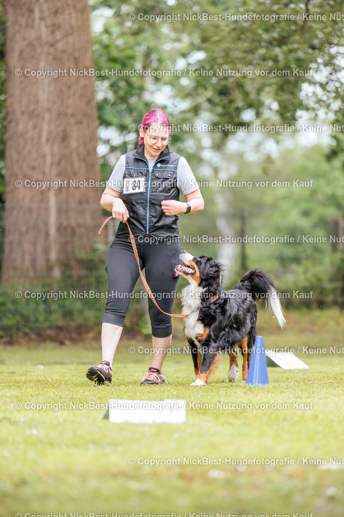 RO-Blumenthal-2026-Nickbest-Hundefotografie-3821 | Dein Hund! Dein Moment! Deine Erinnerungen! Hundefotografie in Bremen Blumenthal. Ich fange die besonderen Momente deines Vierbeiners ein – ob Indoor mit Blitzanlage oder in der freien Natur. Sicher dir dein Moment und dein Termin für eure Erinnerungen.