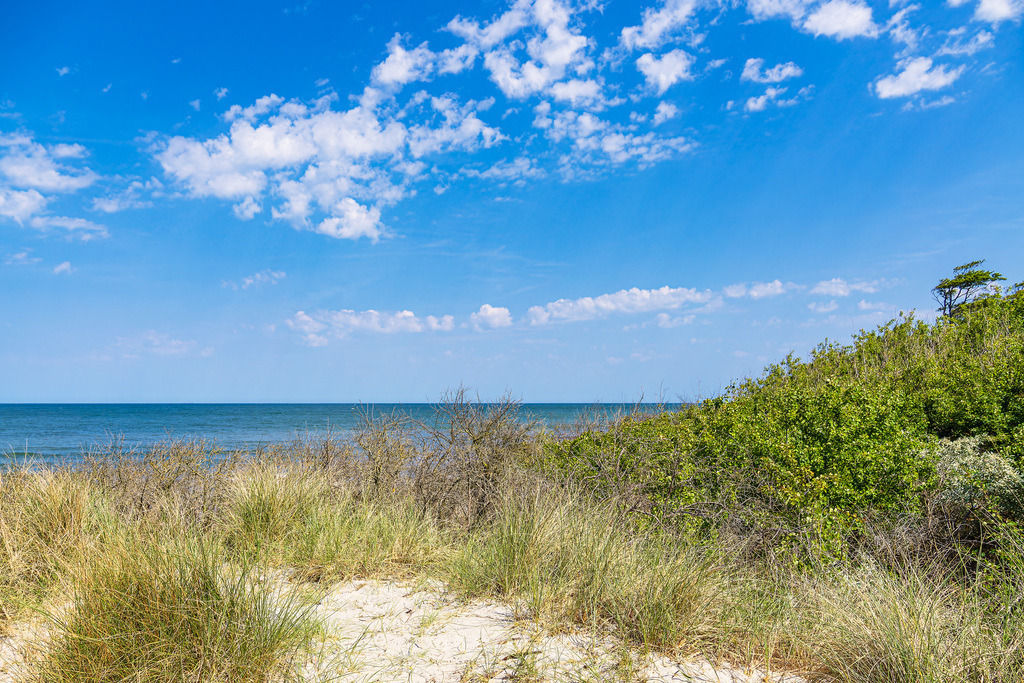 Strand an der Ostseeküste bei Rosenort in der Rostocker Heide | Strand an der Ostseeküste bei Rosenort in der Rostocker Heide.