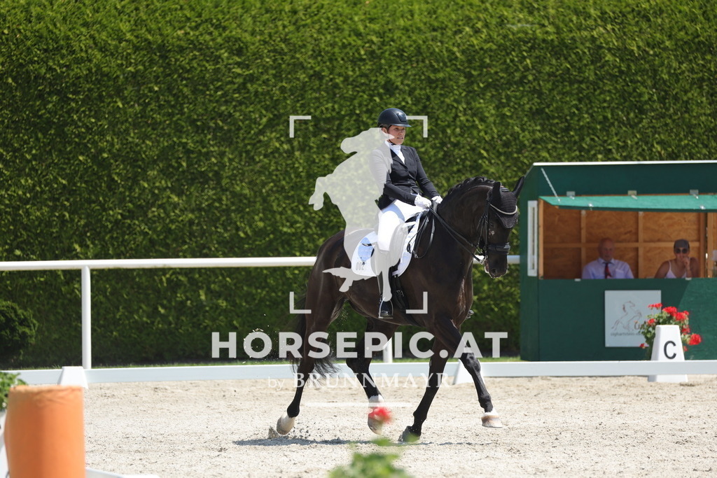 0P6A2019 | Willkommen bei Brunnmayr - Design & Fotografie – Ihrem Spezialisten für Reitturniere und Pferdeveranstaltungen in Oberösterreich, Salzburg und Bayern! Seit über 17 Jahren sind wir leidenschaftlich dabei.