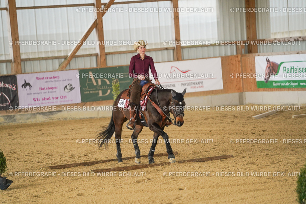 DSC03745 | Pferdegrafie