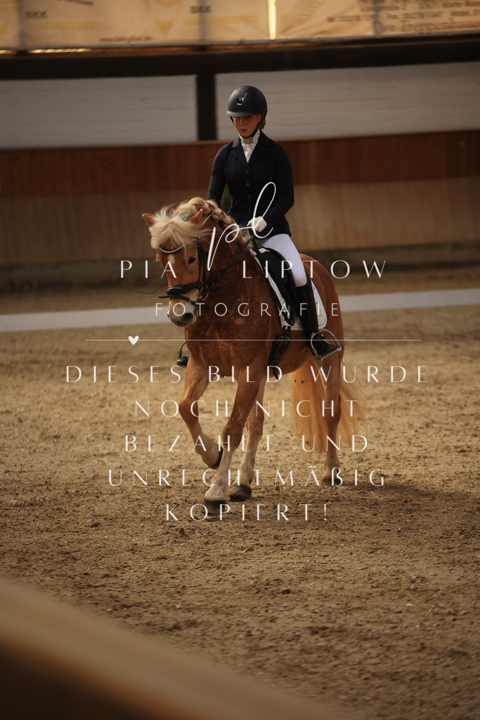 IMGT2165 | pl-fotografie