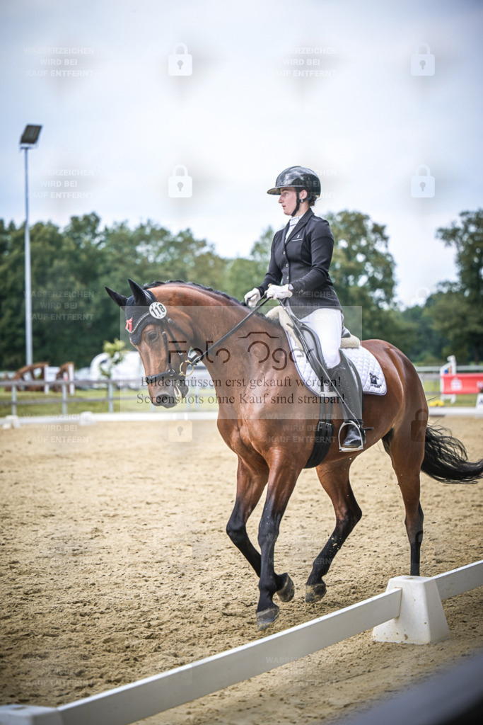 DOS_1607 | Entdecke hochwertige Reitturnierfotos von Foto Oger. Professionell, emotional und authentisch – jetzt Lieblingsmomente im Shop bestellen. - Realisiert mit Pictrs.com