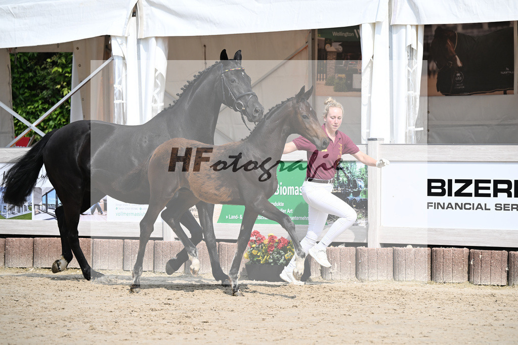 Escaneno x Ganymedes_HF_Amann_12250190 | hf-fotografie - Realisiert mit Pictrs.com