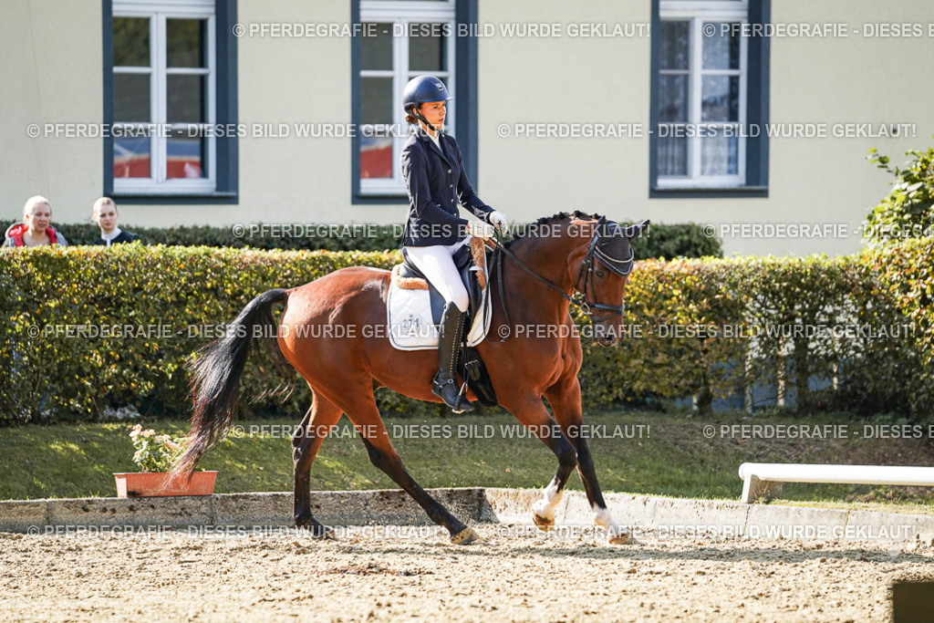 DSC06759 | Pferdegrafie