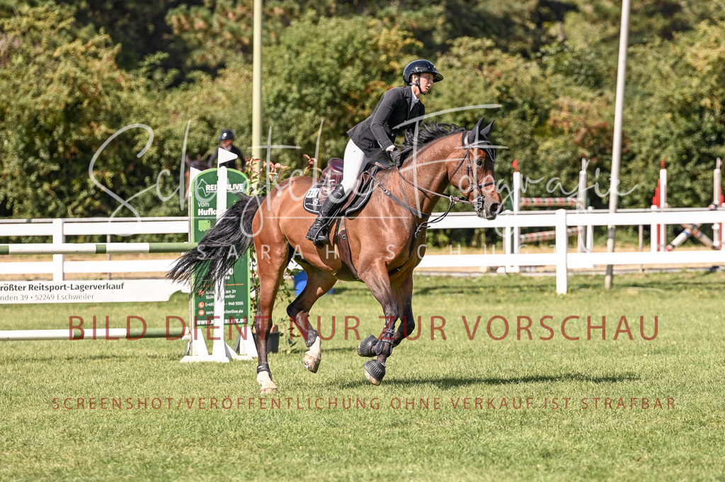 Schugtsche-Düren.2024-09.Springprf.L-209 | Schugtsche Fotografie - Realisiert mit Pictrs.com