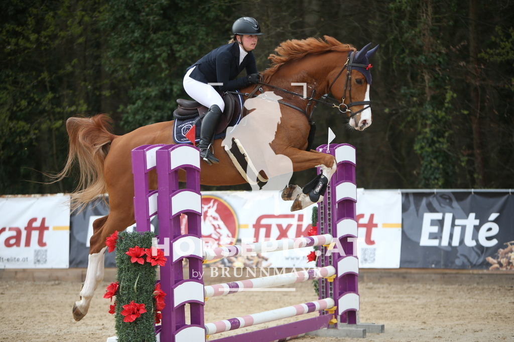 PP016803 | Willkommen bei Brunnmayr - Design & Fotografie – Ihrem Spezialisten für Reitturniere und Pferdeveranstaltungen in Oberösterreich, Salzburg und Bayern! Seit über 17 Jahren sind wir leidenschaftlich dabei.