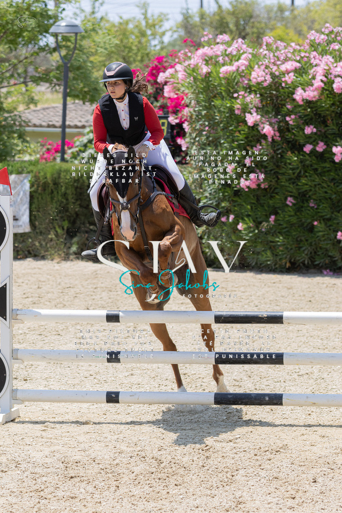 IMG_1662 | s-jay-photography - Realisiert mit Pictrs.com