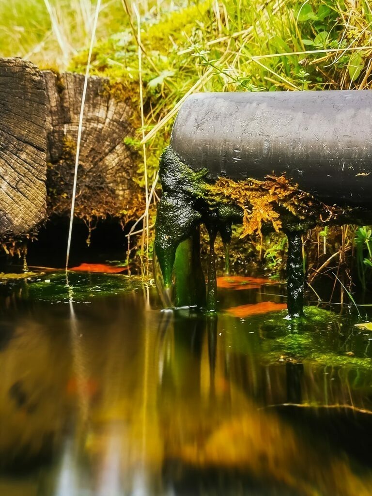 PSX_20221101_221804 | mtkfoto_ - Realisiert mit Pictrs.com