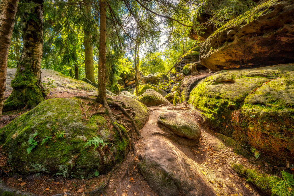 Sächsische Schweiz | fotografie-bernd-pfalzgraf - Realisiert mit Pictrs.com