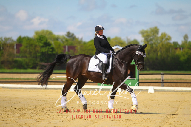 DKP43050 | Turniersportfotografie; Pferdefotografie; Dressurfotografie