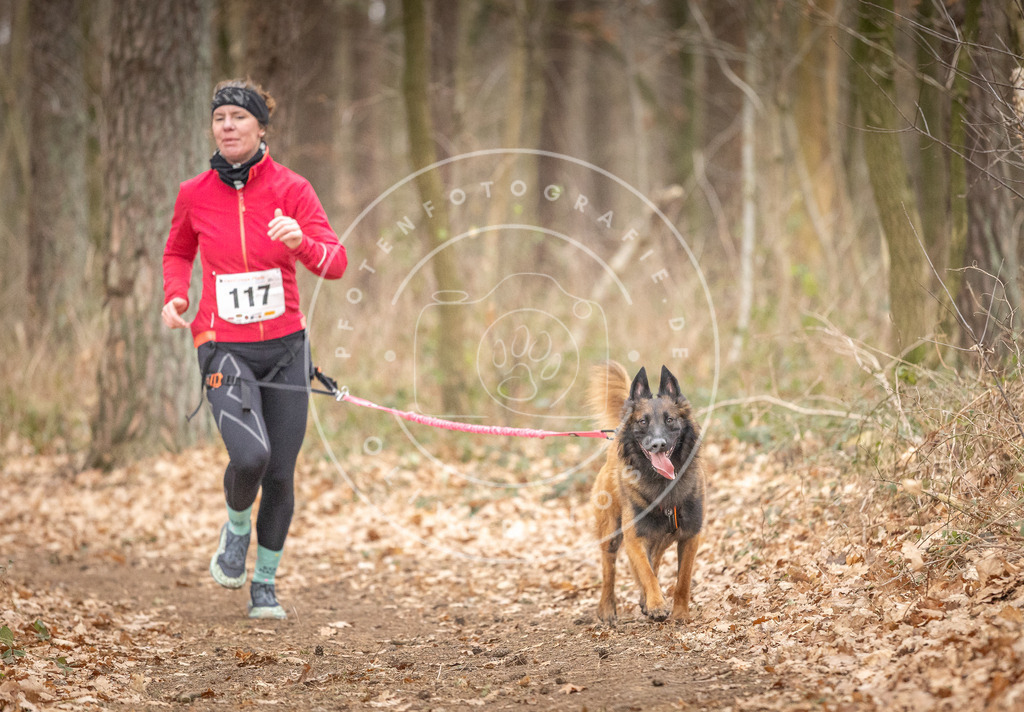 Pfotenfotografie_DV3A7731 | Hundefotografie, Tierfotograf, Pfotenfotografie, Fotoshooting Hund, Hunde Portrait, Hundesport, Hundeportraits, Heideshooting, Hunde, Sportfotograf, Hundefotograf, Turnierhundsport, THS,  - Realisiert mit Pictrs.com
