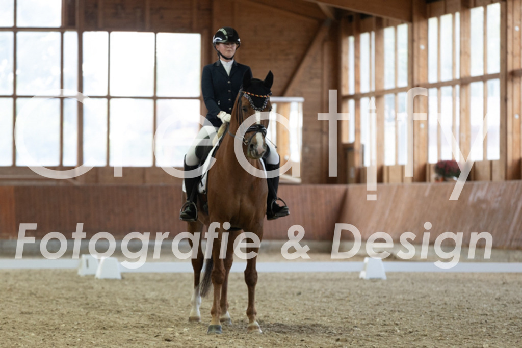 IMG_1111 | Creatify Fotografie