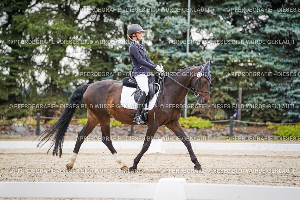 DSC01230 | Pferdegrafie