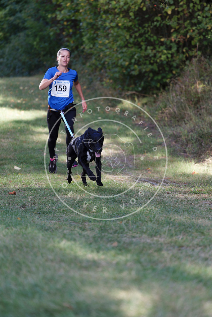 0L8A5226 | Hundefotografie, Tierfotograf, Pfotenfotografie, Fotoshooting Hund, Hunde Portrait, Hundesport, Hundeportraits, Heideshooting, Hunde, Sportfotograf, Hundefotograf, Turnierhundsport, THS,  - Realisiert mit Pictrs.com
