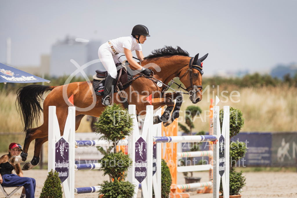 250628_PfSpTa_Youngster-M2-369 | Deine schönsten Turniermomente als professionelle Fotos! Entdecke hochwertige Pferdesport-Fotografie im Online-Shop. Jetzt Fotos finden & bestellen!