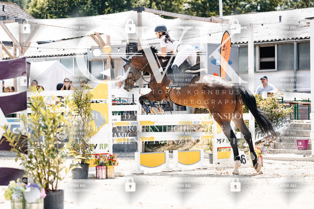 CK907521 | Turnierfotografie Pferdefotografie Trier Rheinland-Pfalz Pferdesport Reitsport Tierfotografie Sportfotografie Pferdevideo Pferdevideografie Equestrianvideography equestrianphotography  - Realisiert mit Pictrs.com