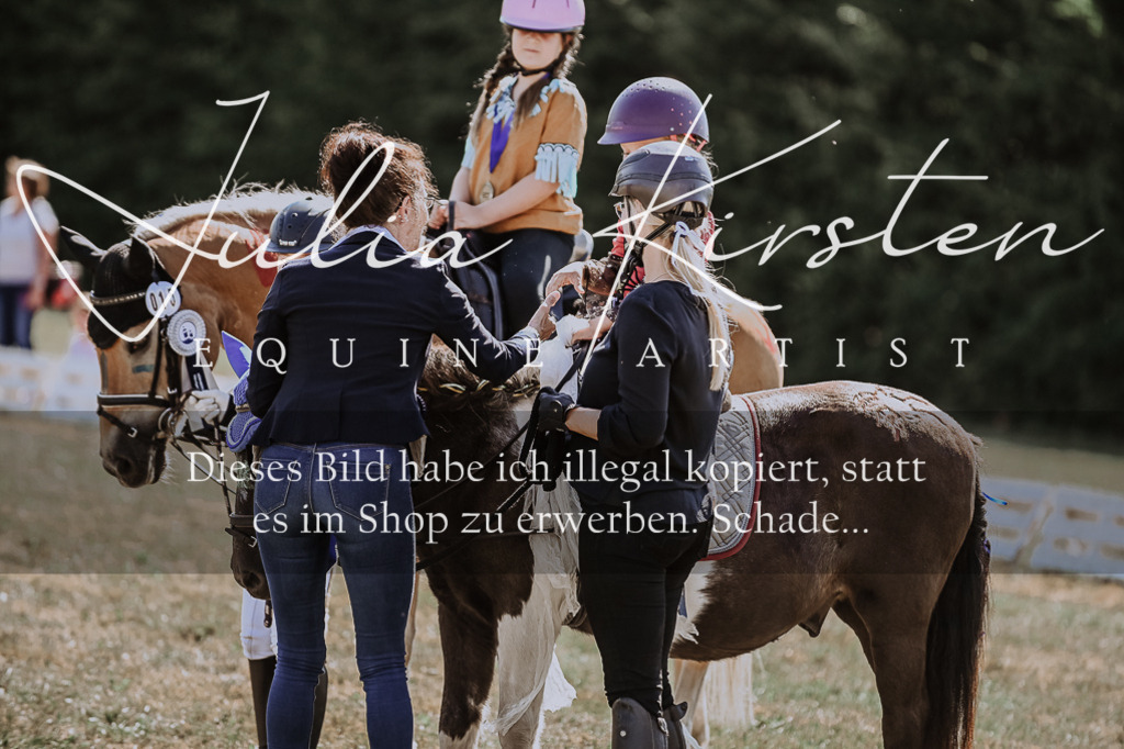 DSC_8949 | Pferde- und Turnierfotografie in Westsachsen. Pferdeportraits, Auftragszeichnungen und intuitive Kunst.