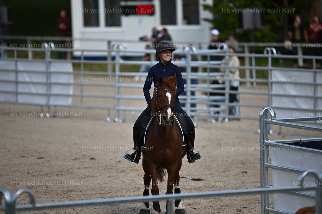 PI26_COW_Sara Landvogt226_7133.JPG | working equitationturnier fotograf videograf stoibphotography marixx film working equitation deutschland reitsport turnierfotografie eventfotografie equestrian events