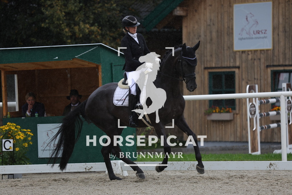 0P6A0465 | Willkommen bei Brunnmayr - Design & Fotografie – Ihrem Spezialisten für Reitturniere und Pferdeveranstaltungen in Oberösterreich, Salzburg und Bayern! Seit über 17 Jahren sind wir leidenschaftlich dabei.