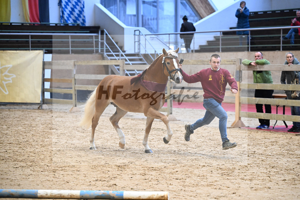 Kat-Nr. 34 nn v. Starino I_Grimminger_48251818 | hf-fotografie - Realisiert mit Pictrs.com