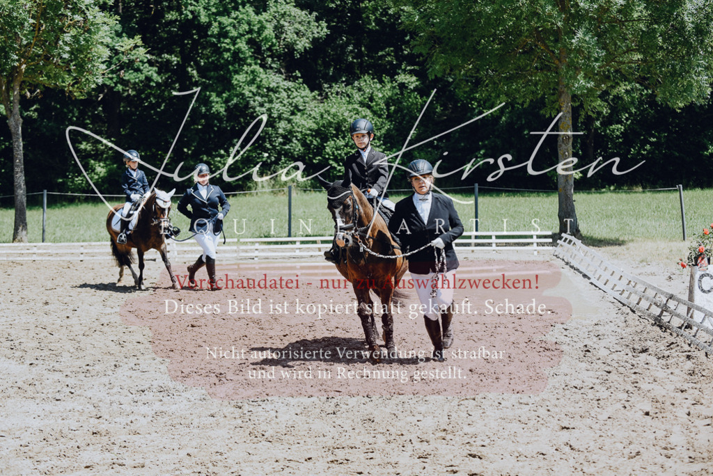 DSC_2153 | Pferde- und Turnierfotografie in Westsachsen. Pferdeportraits, Auftragszeichnungen und intuitive Kunst.