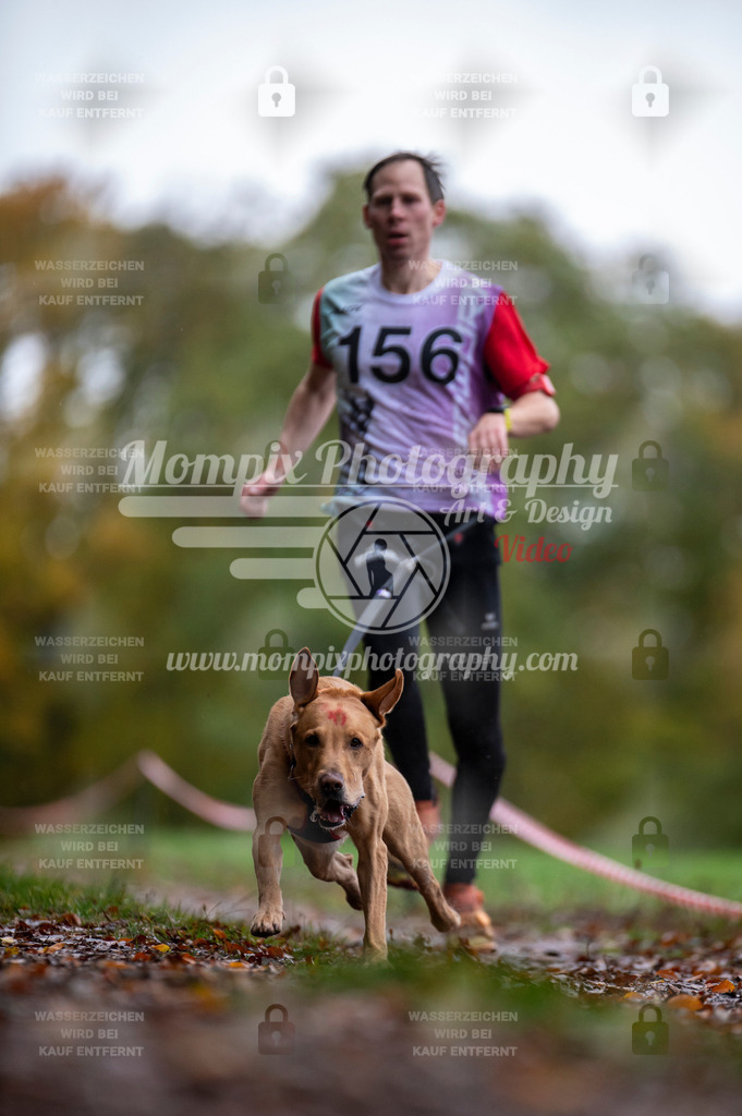 DBT_DAKM_SA_4_11_2023_Canicross-50 | PayLife
