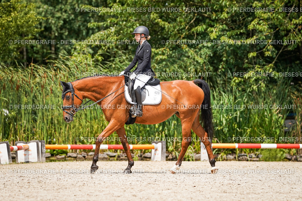 DSC03445 | Pferdegrafie