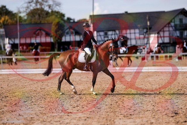 2026_10_03_Siefer-Hof_131844_Z81_66298770 | Professionelle Reitsport-, Turnier- und Eventfotografie von Robert Broda. Galerien mit ausgewählten und bearbeiteten Bildern direkt online ansehen und bestellen.