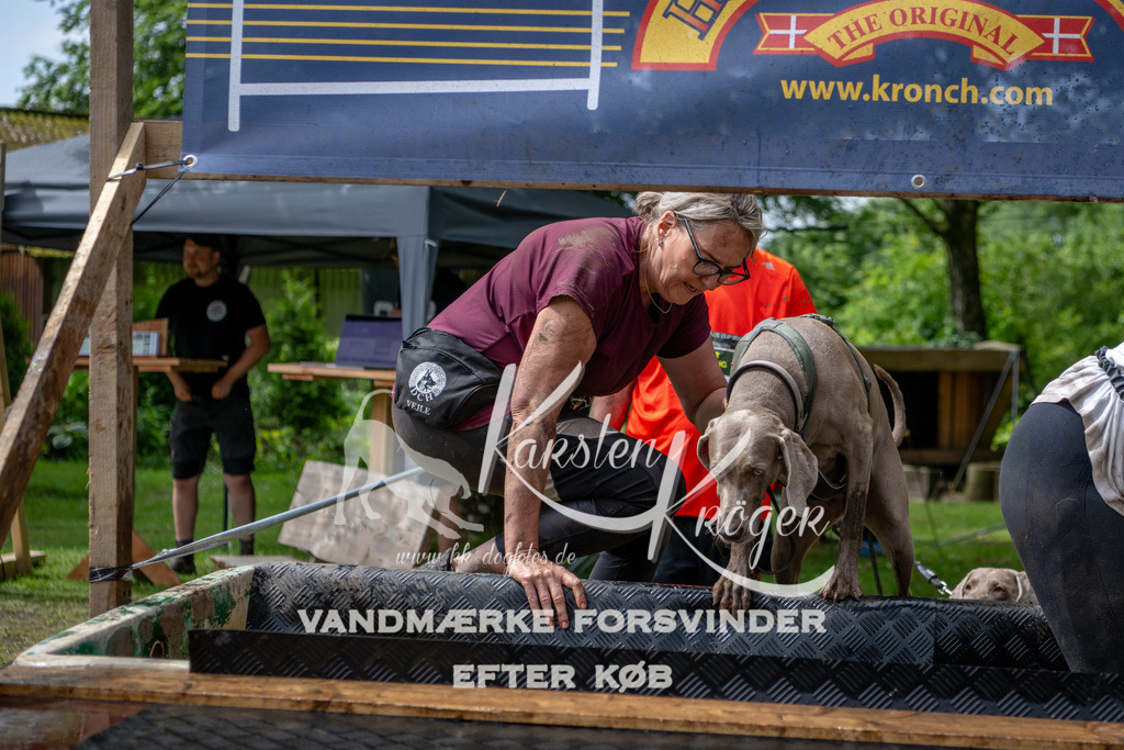 1126_ZZ94302 | kk-dogfotos