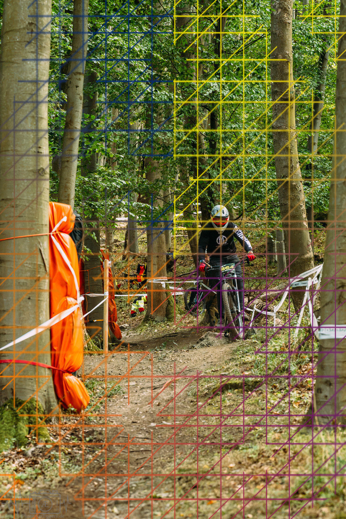 PAE-0406 | Einzigartige Fotokunst für dein Zuhause: Entdecke hochwertige Wandbilder, edle Prints und emotionale Motive von Wildlife, Natur und Landschaften - Realisiert mit Pictrs.com