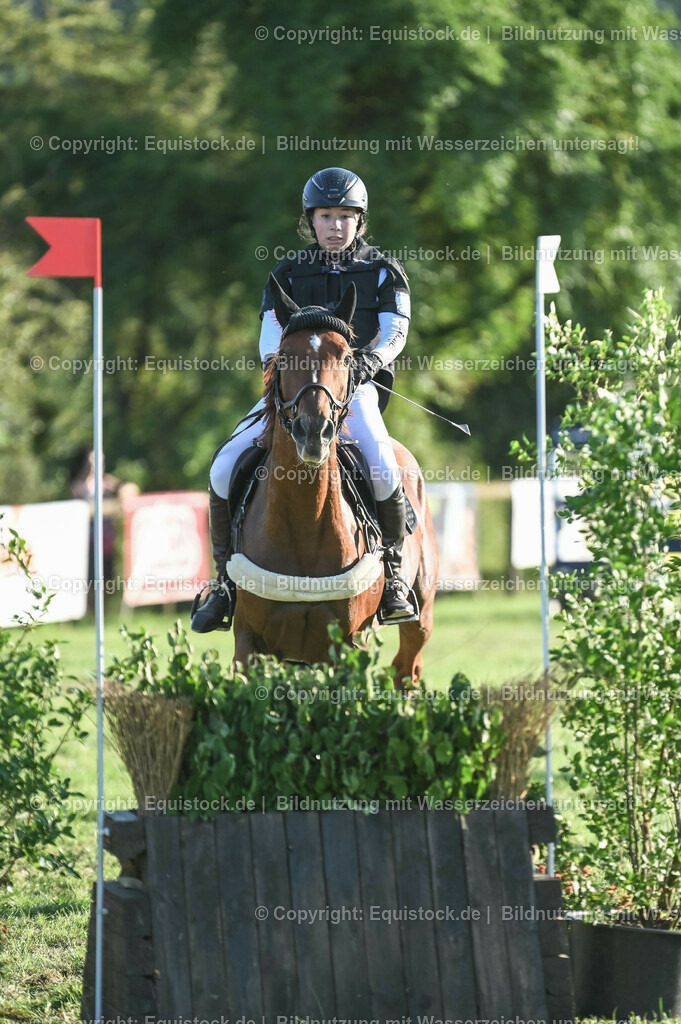 20230909_20_Leonberger-Derby_0069 | Foto: Thomas Hartig