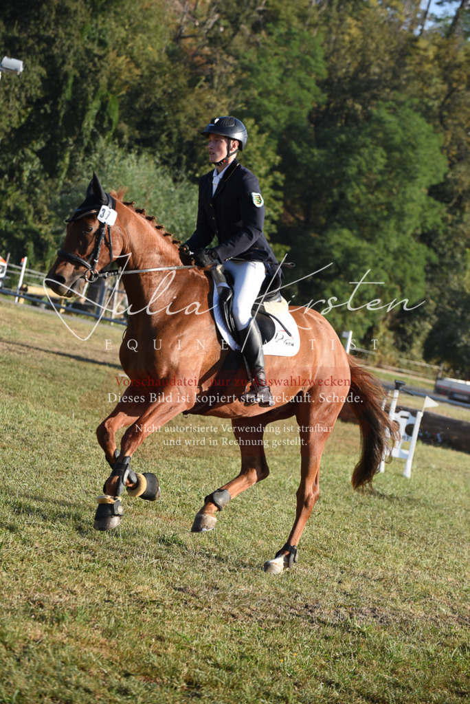 DSC_4970 | Pferde- und Turnierfotografie in Westsachsen. Pferdeportraits, Auftragszeichnungen und intuitive Kunst.