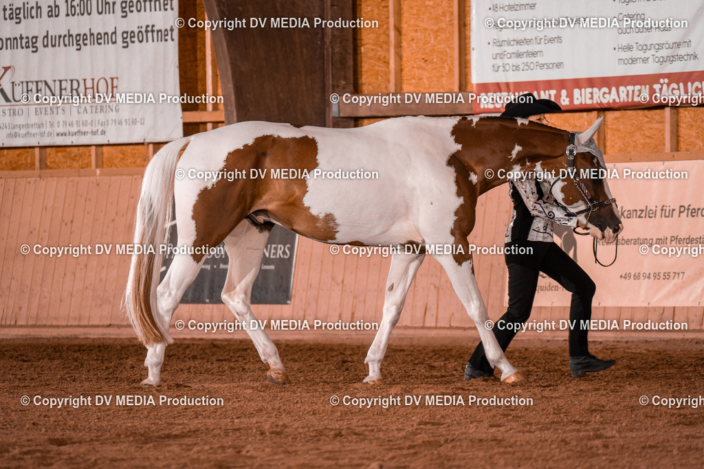 NE200077 | dv-media-shop - Realisiert mit Pictrs.com