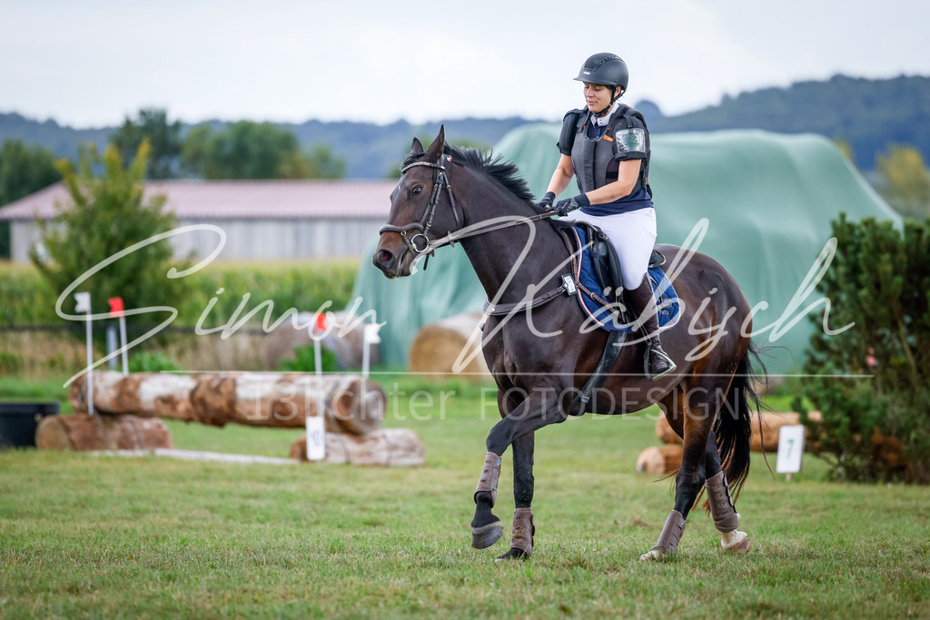20250905-_3LI0721 | Tierfotografie Pferde, Hunde, Katzen, Haustiere.
Turnierfotografie Reitturniere, Reiten, Springreiten, Dressur in Hanau, dem Main-Kinzig-Kreis und dem Rhein-Main- Gebiet um Frankfurt