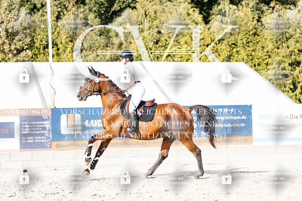 CK909443 | Turnierfotografie Pferdefotografie Trier Rheinland-Pfalz Pferdesport Reitsport Tierfotografie Sportfotografie Pferdevideo Pferdevideografie Equestrianvideography equestrianphotography  - Realisiert mit Pictrs.com