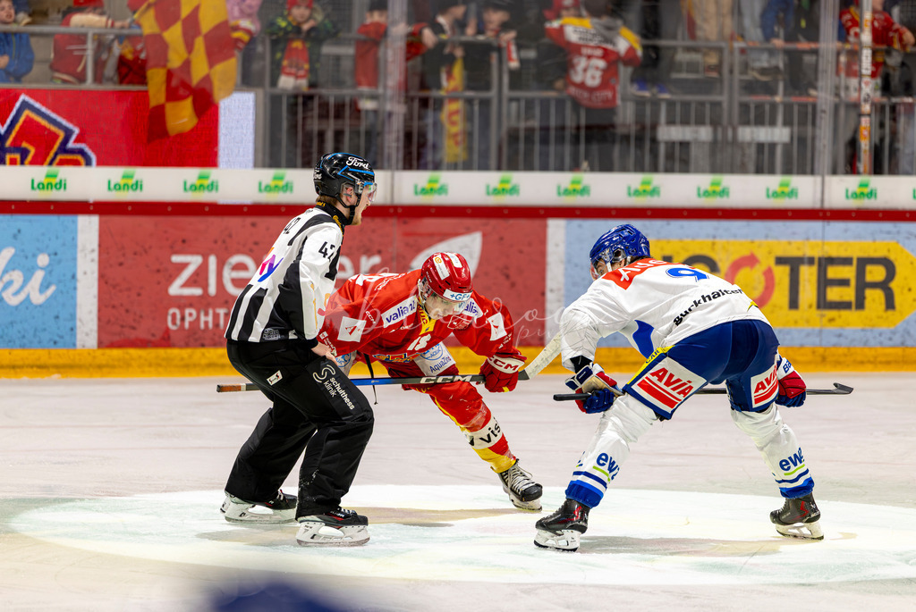 EHCB vs GCK _1-929178112 | Sportbilder, Sportfotograf, Hochzeits- und Eventfotografin, Flugshows, Portraits und Tiershooting, Aviation, Downhill, Nationalleague, Swissleague, International