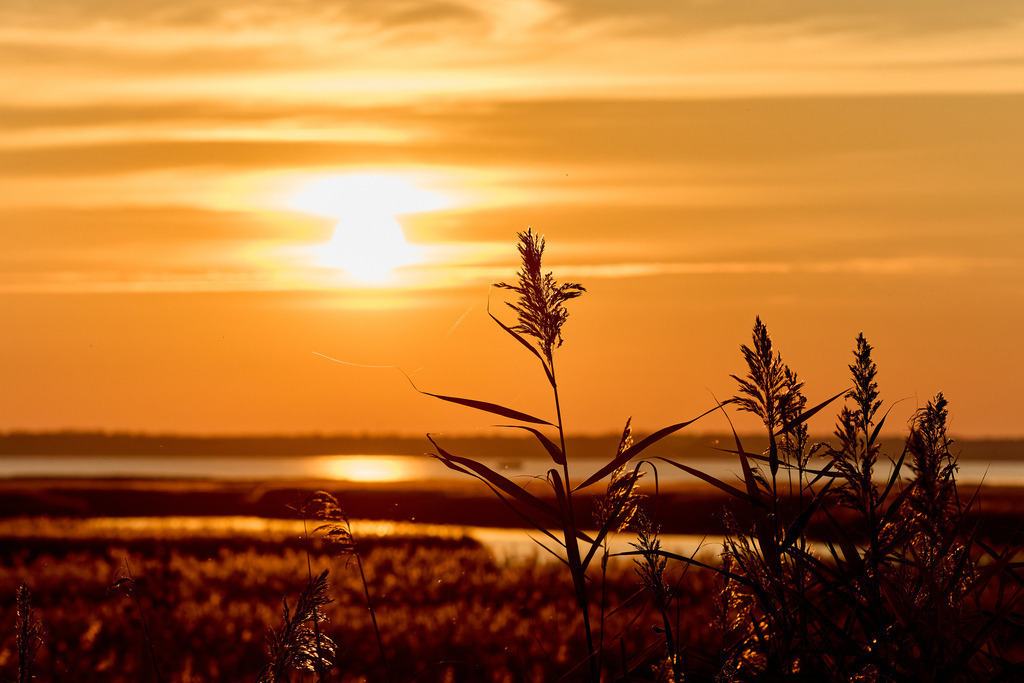 Sonnenuntergang Bodden I | kleinen-fotografie