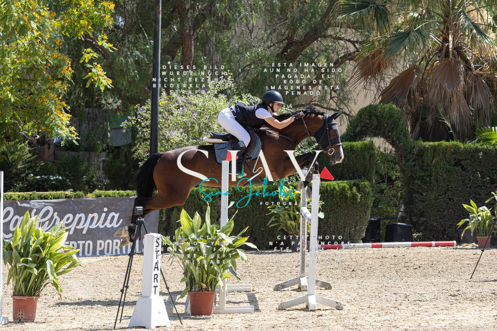 IMG_3657 | s-jay-photography - Realisiert mit Pictrs.com