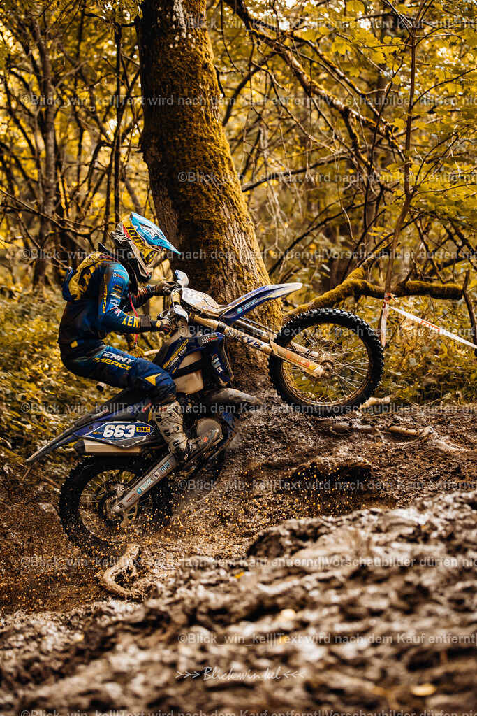 E68A6219 | blick_win_kel