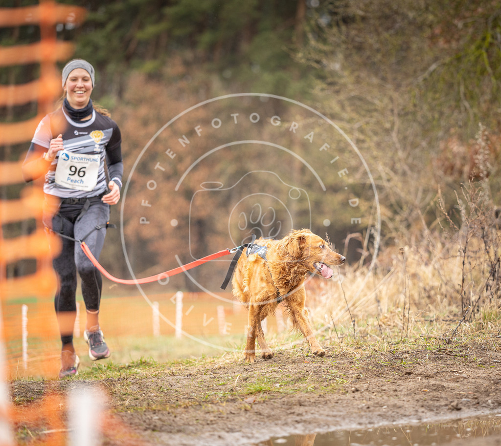 DV3A0553 | Hundefotografie, Tierfotograf, Pfotenfotografie, Fotoshooting Hund, Hunde Portrait, Hundesport, Hundeportraits, Heideshooting, Hunde, Sportfotograf, Hundefotograf, Turnierhundsport, THS,  - Realisiert mit Pictrs.com
