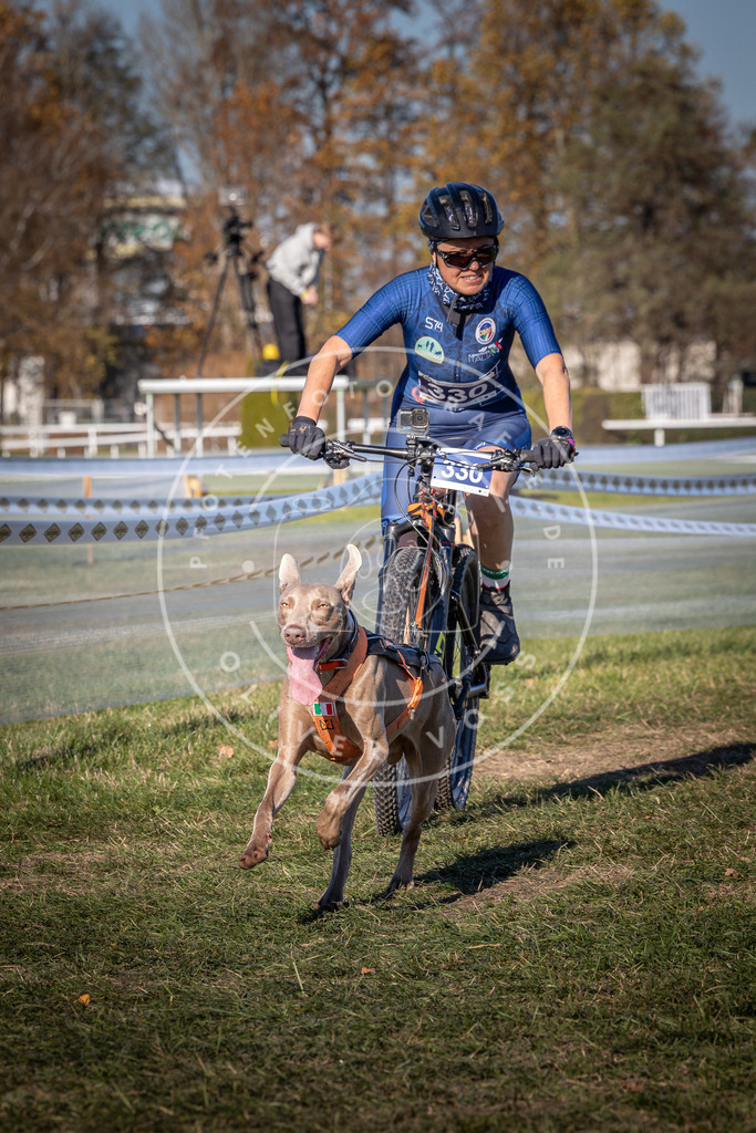 CaniXpix_0L8A5824 | Hundefotografie, Tierfotograf, Pfotenfotografie, Fotoshooting Hund, Hunde Portrait, Hundesport, Hundeportraits, Heideshooting, Hunde, Sportfotograf, Hundefotograf, Turnierhundsport, THS,  - Realisiert mit Pictrs.com