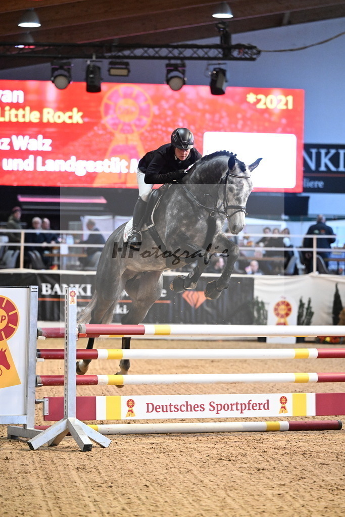 Askaryan_3265013 | hf-fotografie - Realisiert mit Pictrs.com