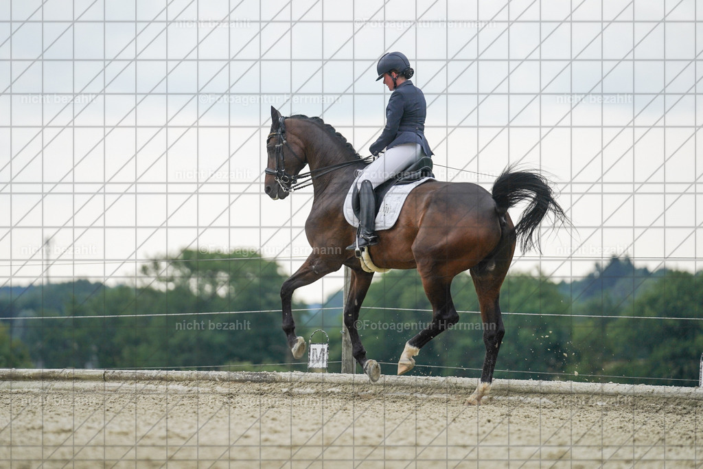 20230826-FAH06270 | Forstinning, 2023, Dressurturnier, Turniersportbilder, Turnierfotografen Bayern, Fotoagentur Herrmann, Reitsportfotografie, Turnierbilder