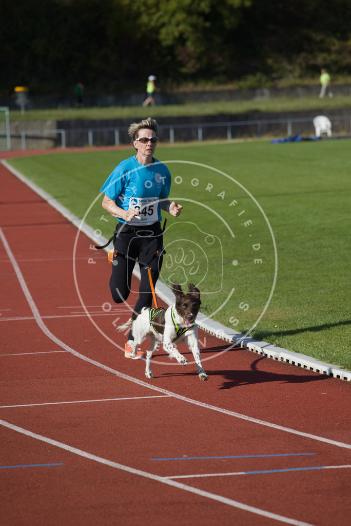 0L8A9143 | Hundefotografie, Tierfotograf, Pfotenfotografie, Fotoshooting Hund, Hunde Portrait, Hundesport, Hundeportraits, Heideshooting, Hunde, Sportfotograf, Hundefotograf, Turnierhundsport, THS,  - Realisiert mit Pictrs.com